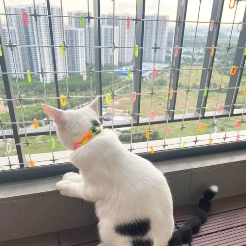 lưới an toàn cho thú cưng